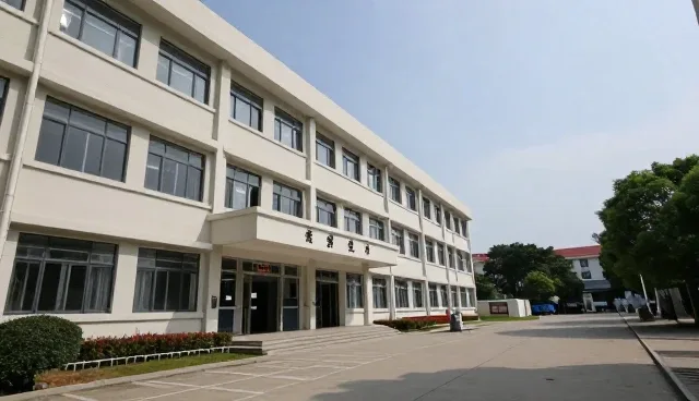 全流程跟进在临床诊疗中的实际应用与问题应对
